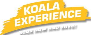 koala-experience-btn