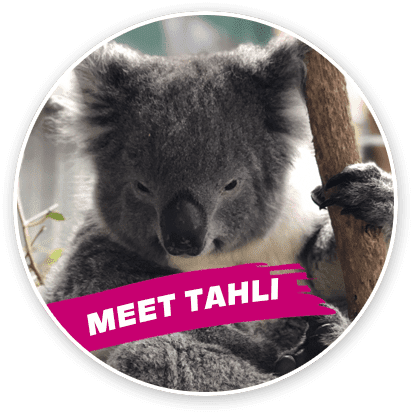 meet-tahli-img