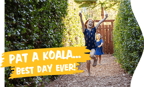 PAT A KOALA… BEST DAY EVER_-min